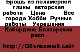 Брошь из полимерной глины, авторская работа. › Цена ­ 900 - Все города Хобби. Ручные работы » Украшения   . Кабардино-Балкарская респ.